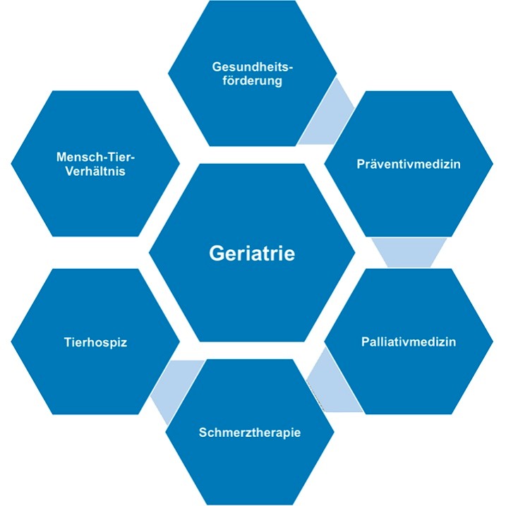 Geriatrie: Gesundheitsförderung, Präventivmedizin, Palliativmedizin, Schmerztherapie, Tierhospiz und Mensch-Tier-Verhältnis