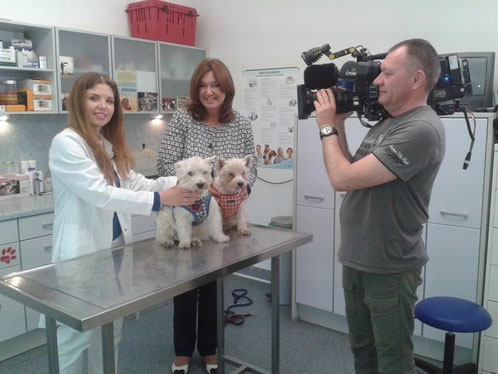 Fernsehteam bei Dreharbeiten in der Tierarztpraxis