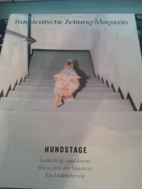 Titelseite des Artikels Hundstage – Luzius, 15, dement