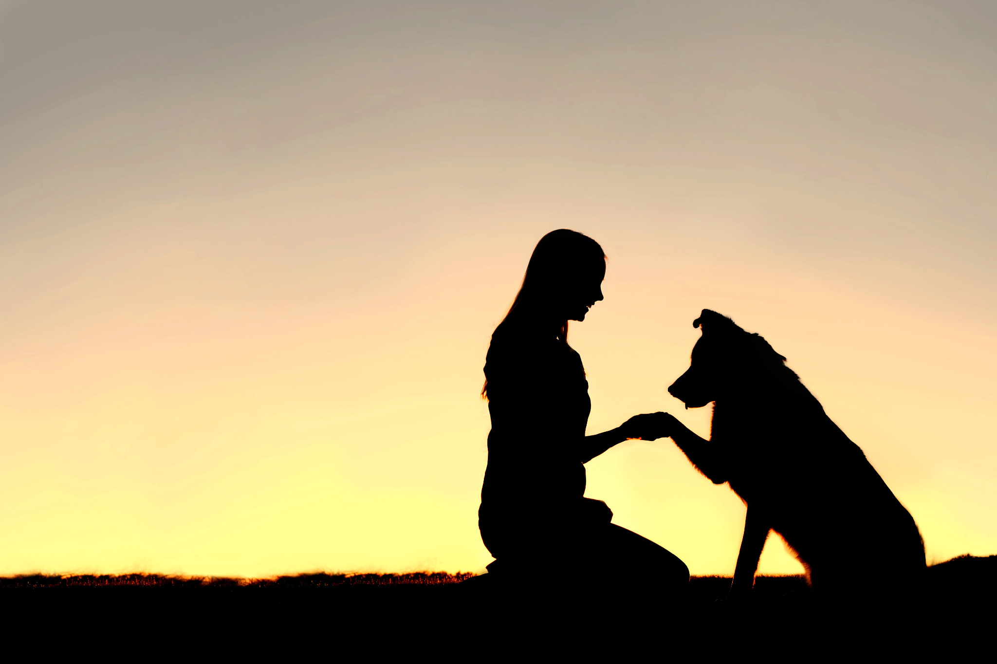 Mensch und Hund im Sonnenuntergang